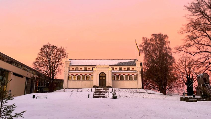 Ledig tjänst Ansvarig för programverksamheten