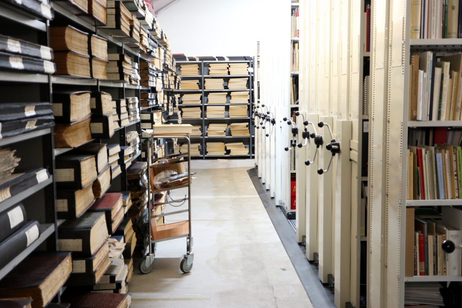 Hyllorna som finns i arkivet.