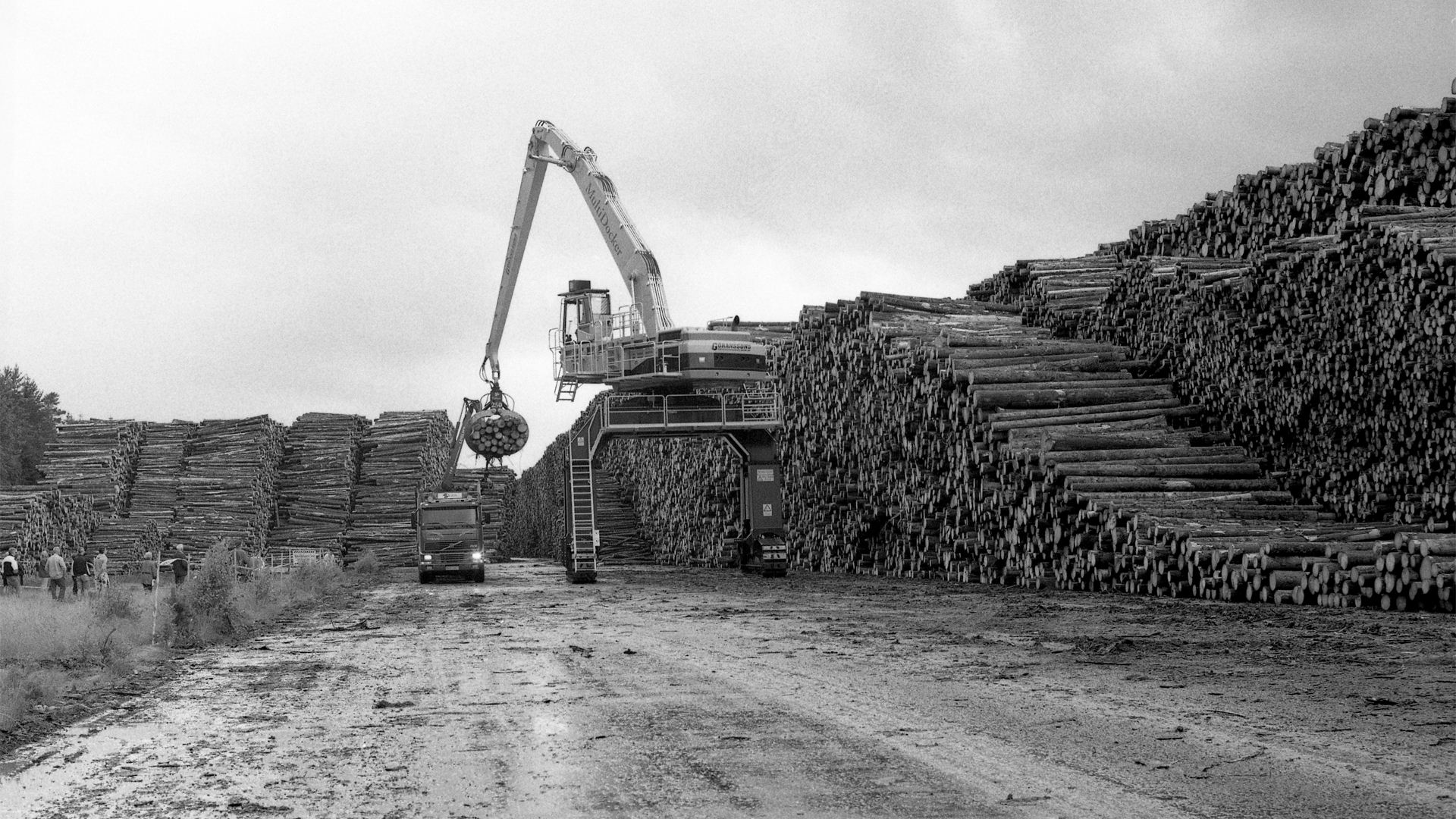 stormfälle i småland efter stormen gudrun