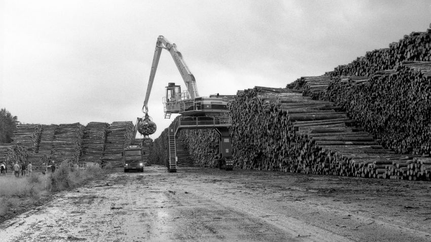 20 år sedan stormen Gudrun
